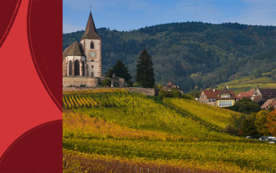 The Alsace Wine Region