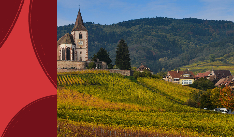 The Alsace Wine Region