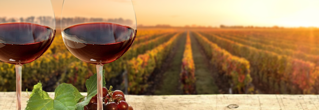wine-sampling-experience-banner